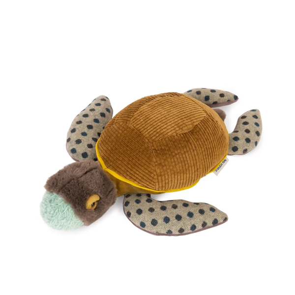 Autour du monde turtle