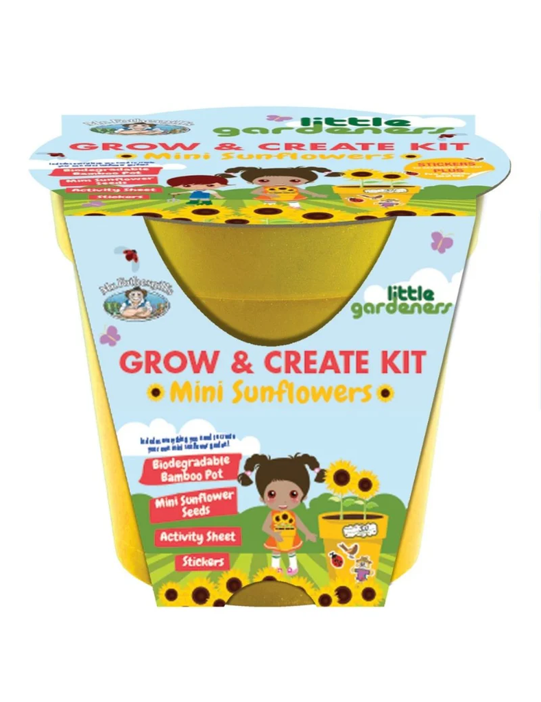 Little Gardeners Grow & Create Kit - Mini Sunflowers