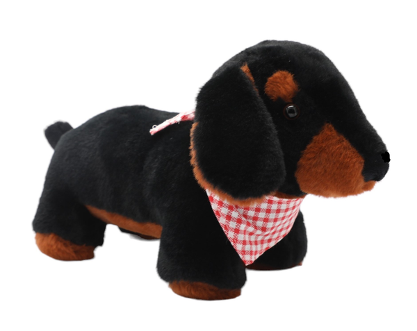 Hunter the Dachshund